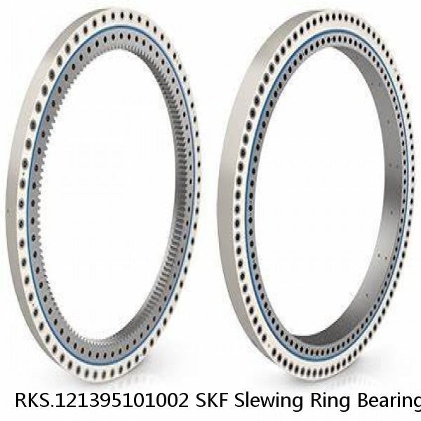 RKS.121395101002 SKF Slewing Ring Bearings