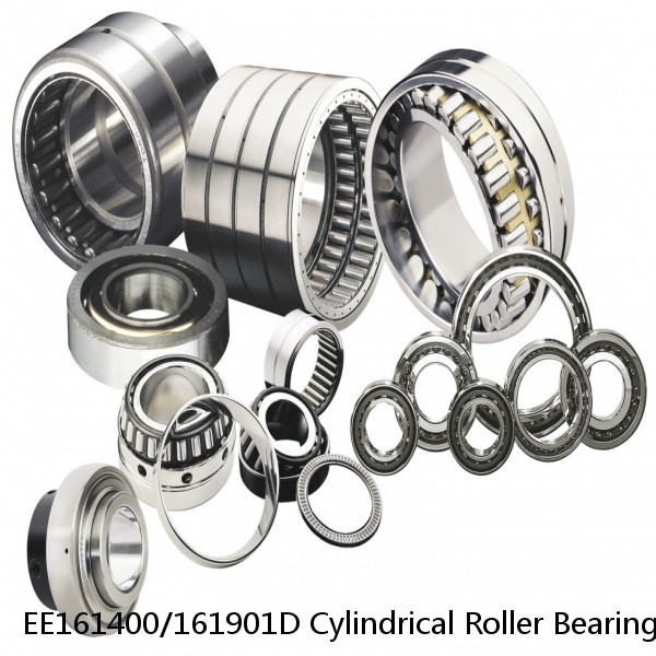 EE161400/161901D Cylindrical Roller Bearings