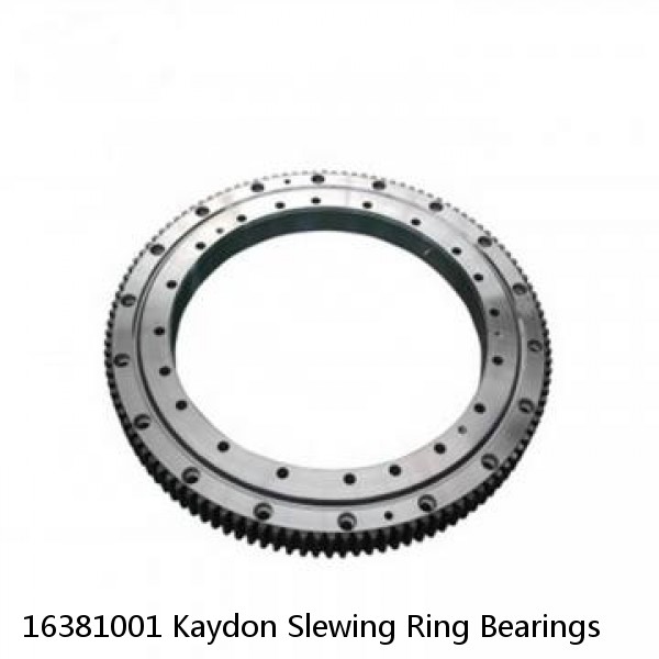 16381001 Kaydon Slewing Ring Bearings