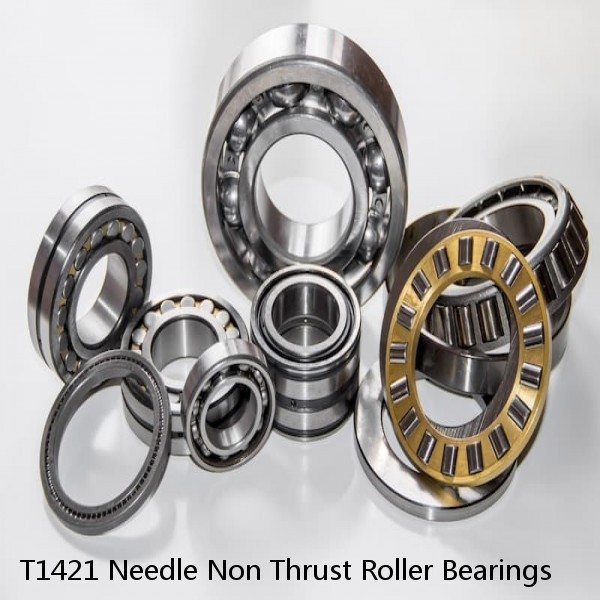 T1421 Needle Non Thrust Roller Bearings