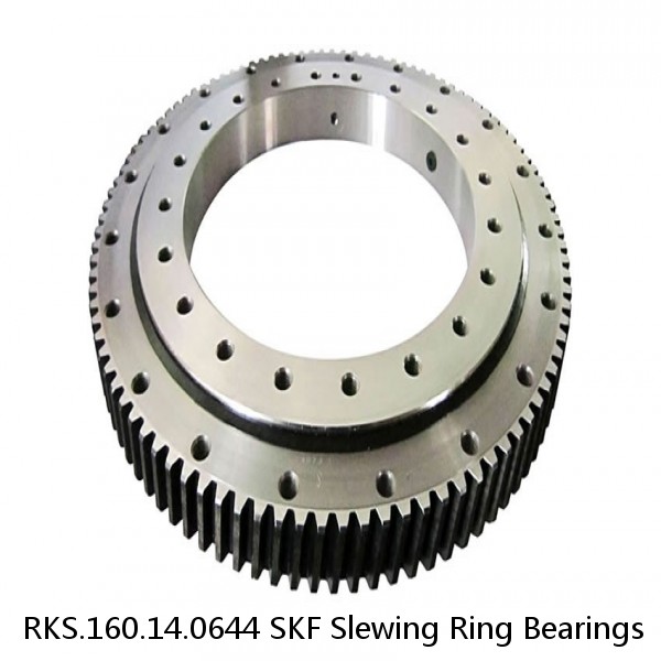 RKS.160.14.0644 SKF Slewing Ring Bearings