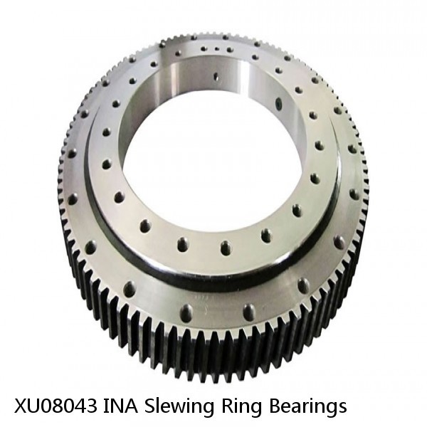 XU08043 INA Slewing Ring Bearings