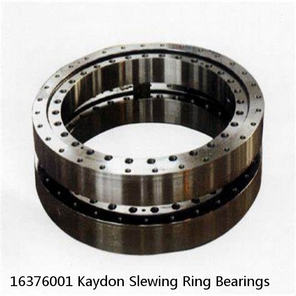 16376001 Kaydon Slewing Ring Bearings