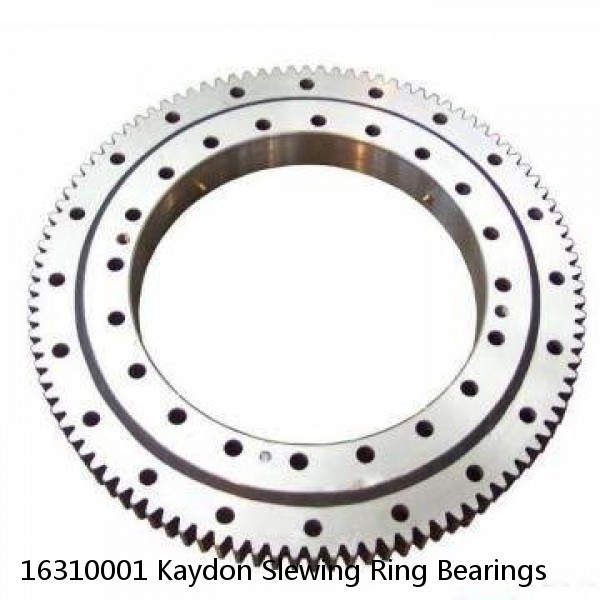 16310001 Kaydon Slewing Ring Bearings